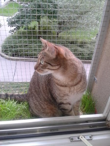 2014-07-31 17.35.42.jpg