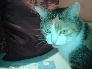 2014-08-05 22.39.31.jpg