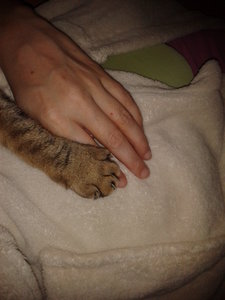 2015-02-08 22.41.03.jpg