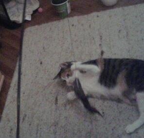 2015-01-02 18.29.04-1.jpg