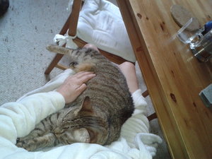 2015-02-07 11.46.24.jpg