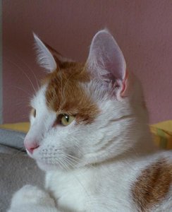 CICCIO - DSC_0004-1.jpg