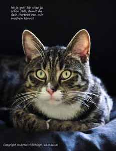 Copyright Andreas H Birkigt -AHB4202b.jpg