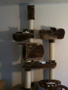 Strolch und Mia 5.JPG