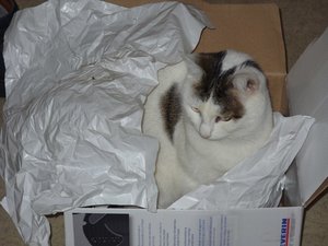 Im neuen Karton2.JPG