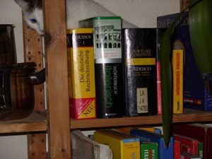 Sonic hiner Buechern2.JPG