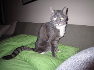 IMG_5519 [1600x1200].JPG