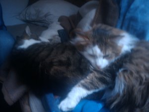 2010-02-06 16.38.01.jpg