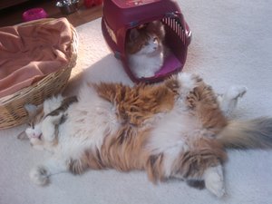 2011-03-05 16.09.34.jpg