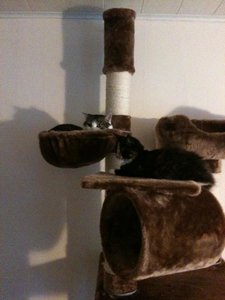 Strolch und Mia 7.jpg