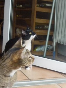 Das erste Mal Freigang 002.jpg