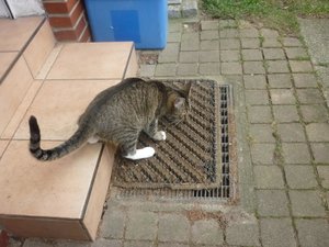 Das erste Mal Freigang 004.jpg