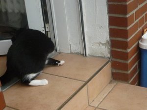 Das erste Mal Freigang 005.jpg