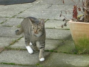 Das erste Mal Freigang 009.jpg