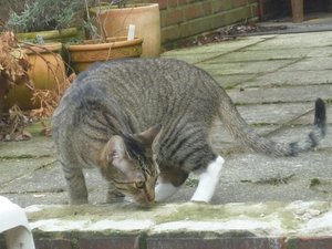 Das erste Mal Freigang 013.jpg