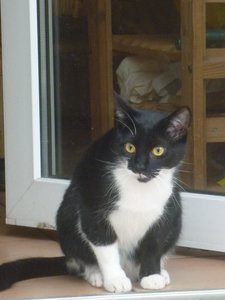 Das erste Mal Freigang 018.jpg