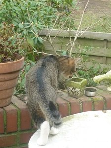 Das erste Mal Freigang 021.jpg