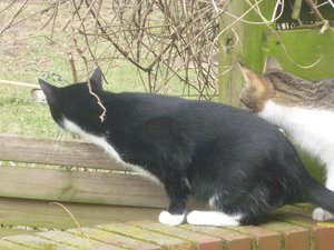 Das erste Mal Freigang 027.jpg