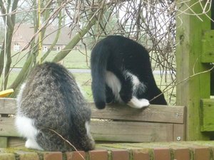 Das erste Mal Freigang 034.jpg