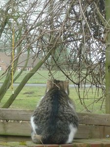 Das erste Mal Freigang 037.jpg