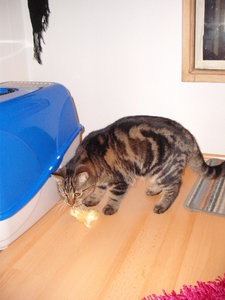 04 Kiddo Dezember 2010.jpg