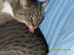 Katerbuben 005 [800x600].jpg