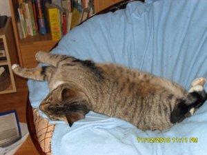 Katerbuben 037 [800x600].jpg