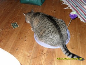 Katerbuben 073 [800x600].jpg