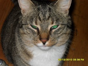 Katerbuben 077 [800x600].jpg