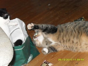 Katerbuben 078 [800x600].jpg