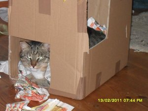 Katerbuben 131 [800x600].jpg