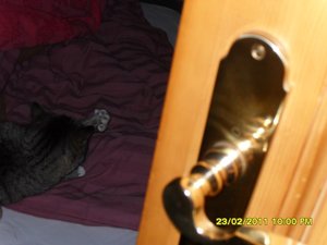 Katerbuben 147 [800x600].jpg