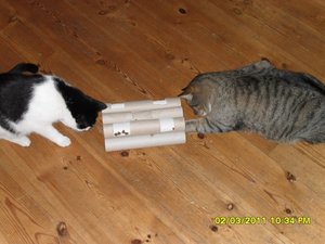 Katerbuben 154 [800x600].jpg