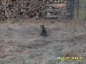 Katerbuben 173 [800x600].jpg