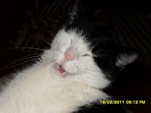 Neue Jungs 007 [800x600].jpg