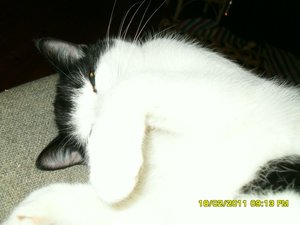 Neue Jungs 010 [800x600].jpg