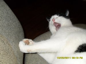 Neue Jungs 011 [800x600].jpg