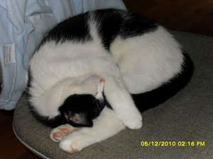 Katerbuben 014 [800x600].jpg