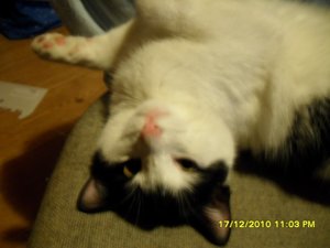 Katerbuben 018 [800x600].jpg