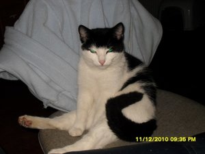 Katerbuben 031 [800x600].jpg