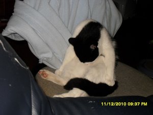 Katerbuben 035 [800x600].jpg