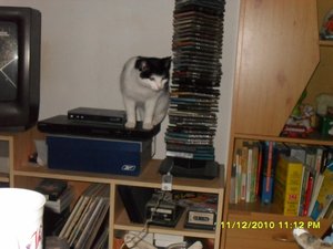 Katerbuben 039 [800x600].jpg