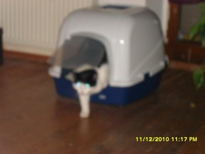 Katerbuben 046 [800x600].jpg