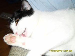 Katerbuben 051 [800x600].jpg