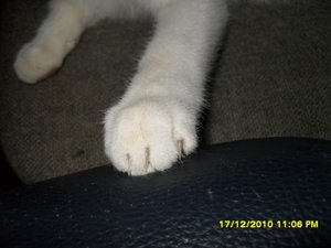 Katerbuben 054 [800x600].jpg