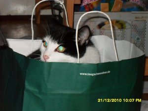 Katerbuben 062 [800x600].jpg