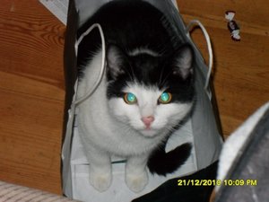 Katerbuben 067 [800x600].jpg