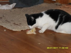 Katerbuben 114 [800x600].jpg