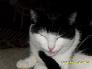 Katerbuben 117 [800x600].jpg