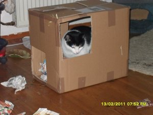 Katerbuben 133 [800x600].jpg